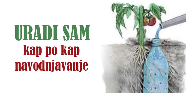 Kap po kap navodnjavanje plastičnom flašom