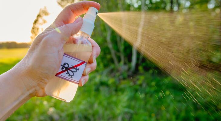 Prirodna zaštita od komaraca – provereni trikovi koji stvarno rade