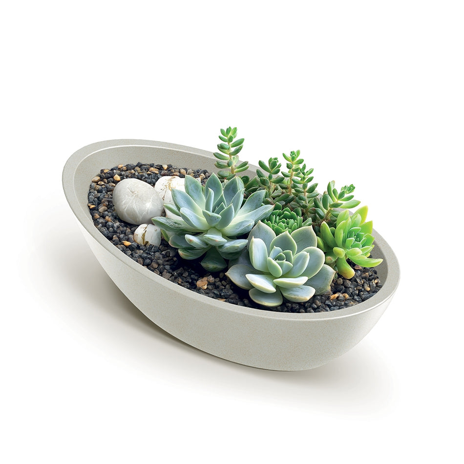 Saksija Aria Oval